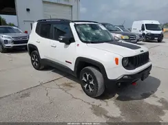 ZACNJBC12KPJ88369 2019 JEEP RENEGADE