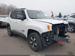 ZACNJBC12LPL91876 2020 JEEP RENEGADE