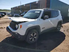 ZACNJBC13KPK72202 2019 JEEP RENEGADE