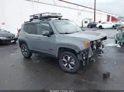 ZACNJBC14LPL73119 2020 JEEP RENEGADE