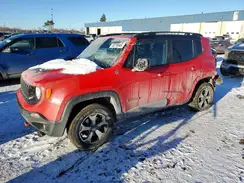 ZACNJBC19KPK29161 2019 JEEP RENEGADE