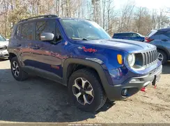 ZACNJBC19KPK39172 2019 JEEP RENEGADE