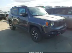 ZACNJBC1XKPK01711 2019 JEEP RENEGADE