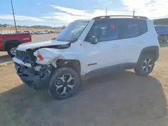 ZACNJBC1XKPK55218 2019 JEEP RENEGADE