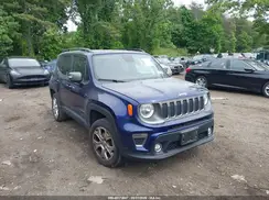 ZACNJBD10LPL73116 2020 JEEP RENEGADE