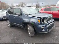 ZACNJBD10LPL73326 2020 JEEP RENEGADE