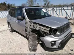 ZACNJBD11KPJ86093 2019 JEEP RENEGADE