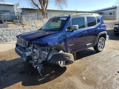 ZACNJBD11KPK01305 2019 JEEP RENEGADE