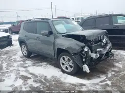 ZACNJBD11LPL74100 2020 JEEP RENEGADE