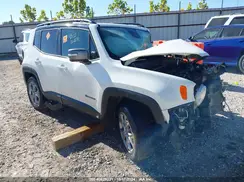 ZACNJBD12KPJ95871 2019 JEEP RENEGADE