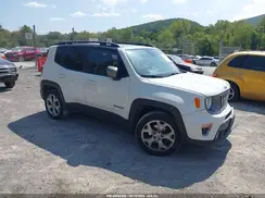 ZACNJBD12KPJ96275 2019 JEEP RENEGADE