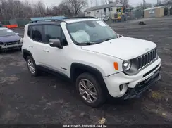 ZACNJBD12KPK76952 2019 JEEP RENEGADE