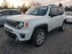 ZACNJBD12LPL45544 2020 JEEP RENEGADE