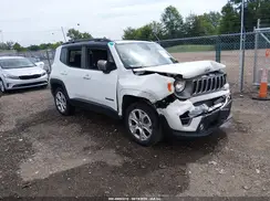 ZACNJBD13KPJ92770 2019 JEEP RENEGADE