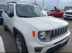 ZACNJBD13KPJ93594 2019 JEEP RENEGADE