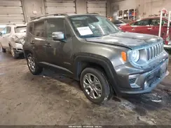 ZACNJBD13KPJ94387 2019 JEEP RENEGADE