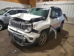 ZACNJBD14LPK99120 2020 JEEP RENEGADE