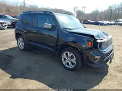 ZACNJBD17LPL74537 2020 JEEP RENEGADE