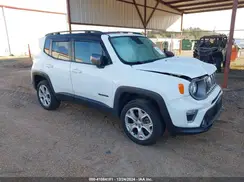 ZACNJBD18KPJ87161 2019 JEEP RENEGADE