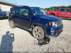 ZACNJBD18LPL98829 2020 JEEP RENEGADE