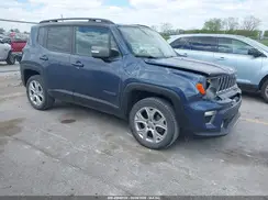 ZACNJBD18LPM07030 2020 JEEP RENEGADE