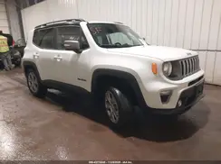 ZACNJBD19KPJ94216 2019 JEEP RENEGADE