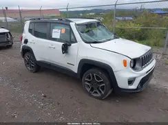 ZACNJBD1XKPJ91244 2019 JEEP RENEGADE