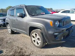 ZACNJBD1XLPL09391 2020 JEEP RENEGADE