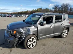 ZACNJBD1XLPL83054 2020 JEEP RENEGADE