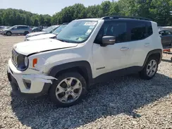 ZACNJBD1XLPL91851 2020 JEEP RENEGADE