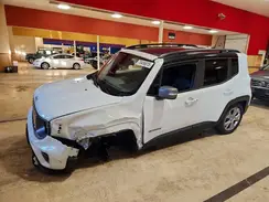 ZACNJBD1XLPL99674 2020 JEEP RENEGADE