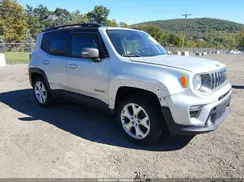 ZACNJBD1XLPM05201 2020 JEEP RENEGADE