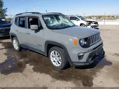 ZACNJCBB5MPM54244 2021 JEEP RENEGADE
