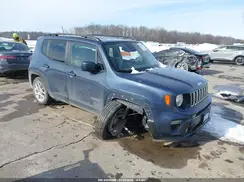 ZACNJCBB6MPM49019 2021 JEEP RENEGADE