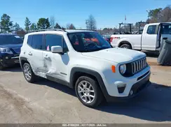 ZACNJCBB8MPM22081 2021 JEEP RENEGADE