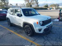 ZACNJCBB9MPM67143 2021 JEEP RENEGADE