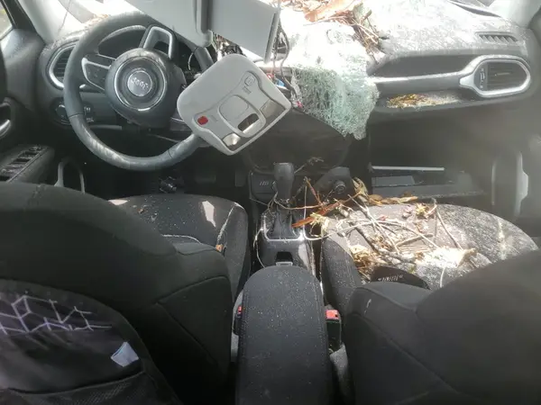 ZACNJDAB2MPM55729 2021 JEEP RENEGADE - Image 8