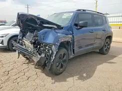 ZACNJDAB5MPM96369 2021 JEEP RENEGADE