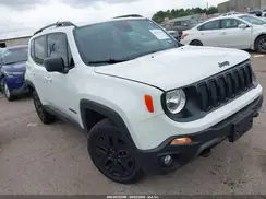 ZACNJDAB7MPM23455 2021 JEEP RENEGADE