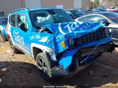 ZACNJDAB8MPN11253 2021 JEEP RENEGADE