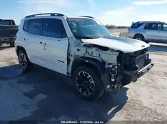ZACNJDB10PPP36132 2023 JEEP RENEGADE