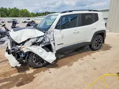 ZACNJDB10PPP39080 2023 JEEP RENEGADE