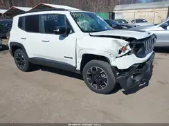 ZACNJDB10PPP56199 2023 JEEP RENEGADE