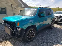ZACNJDB11MPM16619 2021 JEEP RENEGADE