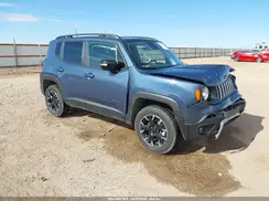ZACNJDB11PPP69754 2023 JEEP RENEGADE