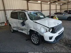 ZACNJDB12PPP24385 2023 JEEP RENEGADE