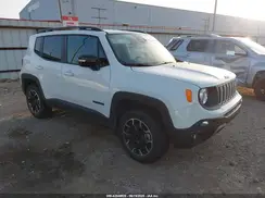 ZACNJDB12PPP72193 2023 JEEP RENEGADE