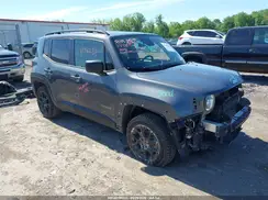 ZACNJDB13NPN69827 2022 JEEP RENEGADE