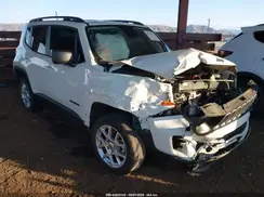 ZACNJDB13PPP32981 2023 JEEP RENEGADE