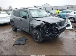 ZACNJDB17PPP38539 2023 JEEP RENEGADE